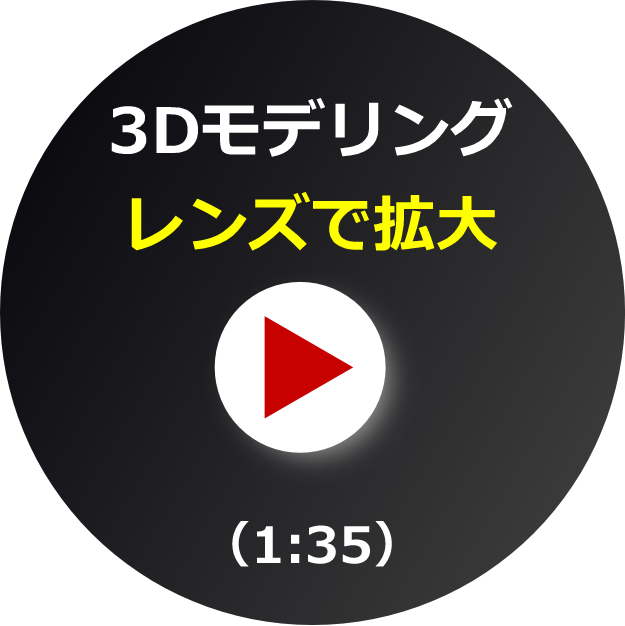 ビデオ_レンズで拡大