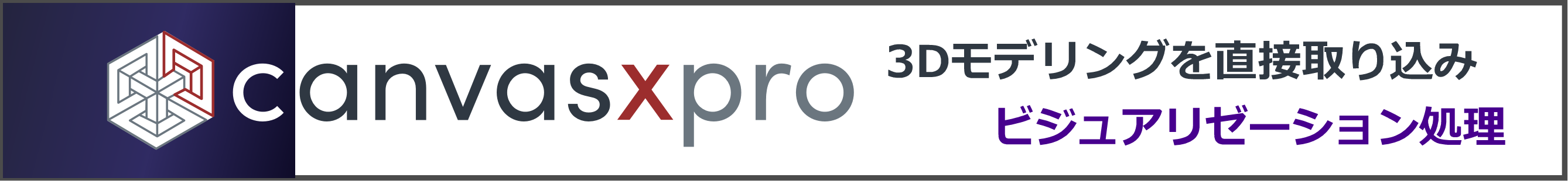 Canvas X pro特長